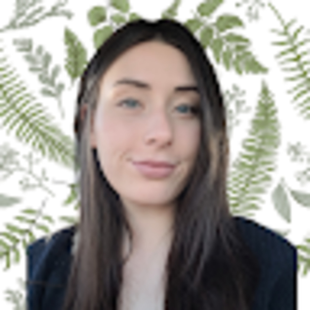 Meet your Posher, Breyer